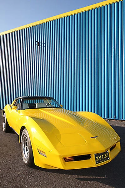 Chevrolet Corvette, 1980, Yellow