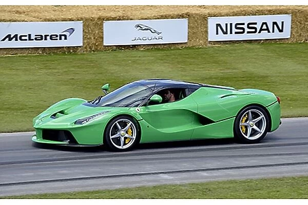 Ferrari LaFerrari (Jay Kay), 2014, Green