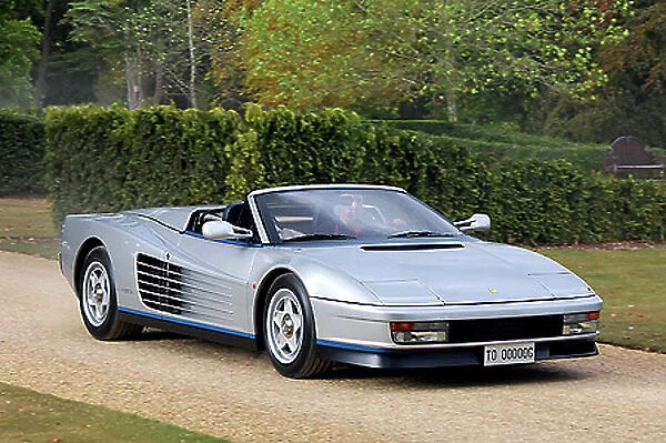 Ferrari Testarossa Spider (made for Fiat chairman Gianni Agnelli) 1986 Silver with blue trim