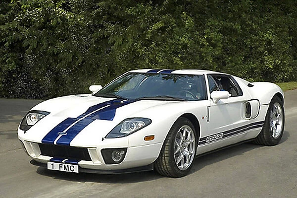 Ford Ford GT (at G wood FOS 2005) 2005 White blue stripes