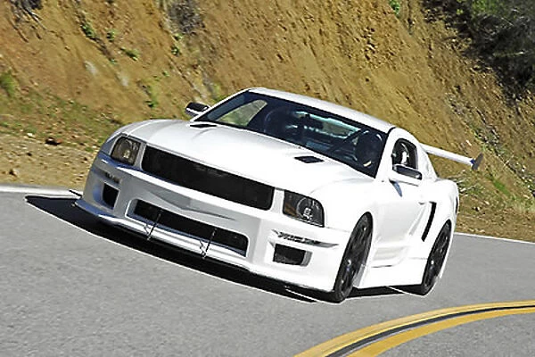 Ford Galpin Auto Sports Mustang 302 Snowflake