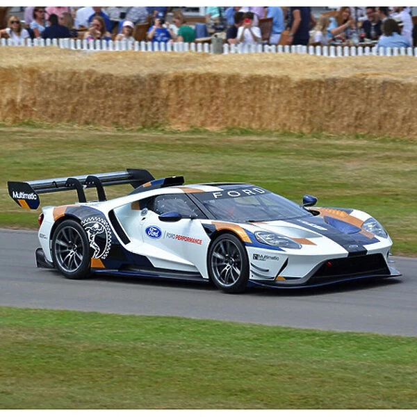 Ford GT Mk. 2, Track Edition (at G wood FOS 2019) 2019 White & black