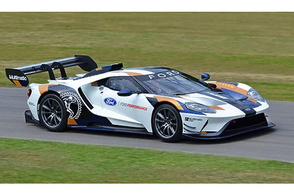 Ford GT Mk. 2, Track Edition (at G wood FOS 2019) 2019 White & black