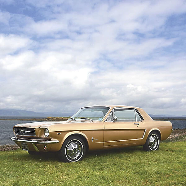 Ford Mustang 1965 Gold