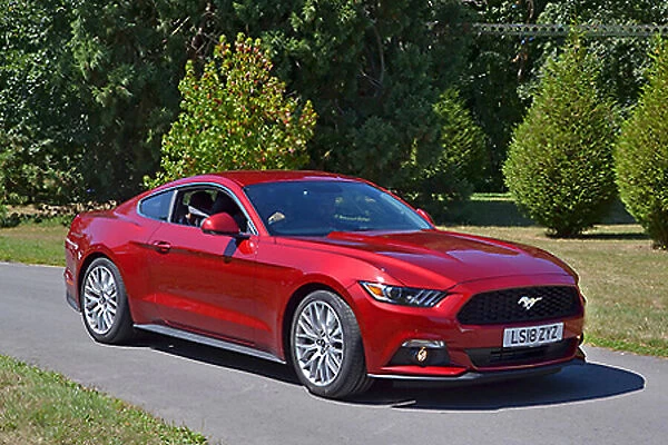 Ford Mustang 2018 Red dark, metallic