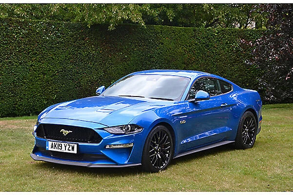 Ford Mustang 5. 0 GT 2019 Blue