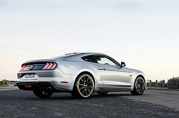 Ford Mustang 5. 0 GT 2021 Silver