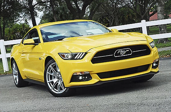 Ford Mustang GT 50 Year Edition, 2015, Yellow