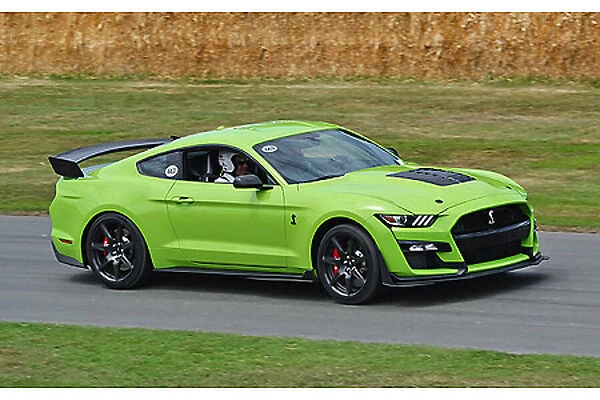 Ford Mustang GT 500 2019 Green