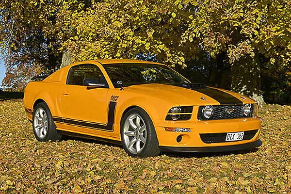 Ford Mustang Saleen Boss 302, 2013, Yellow, & black
