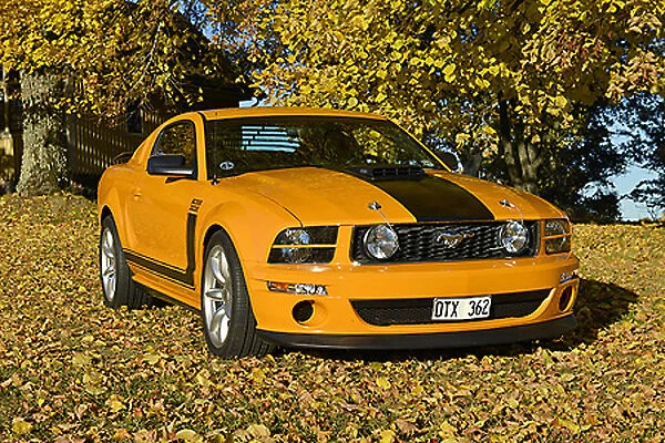 Ford Mustang Saleen Boss 302, 2013, Yellow, & black