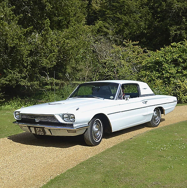 Ford Thunderbird, 1966, White