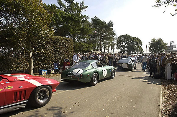 Goodwood Revival Classic Car line-up multi various 2000s classic