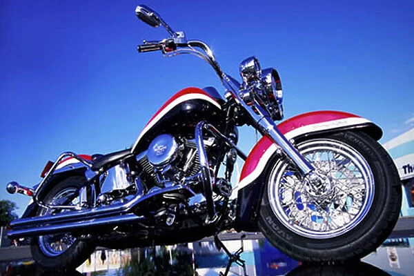 Harley Davidson Heritage Softtail Custom