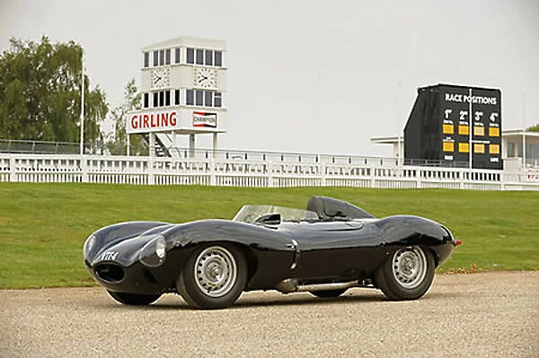 Jaguar D-Type Britain