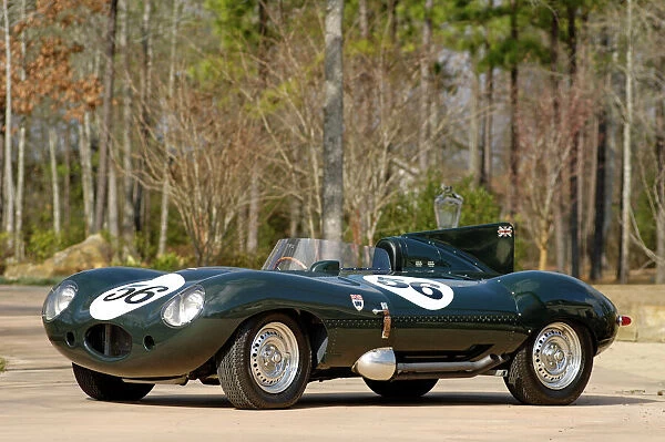 Jaguar D-Type Le Mans racer