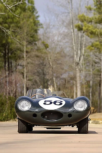 Jaguar D-Type Le Mans racer