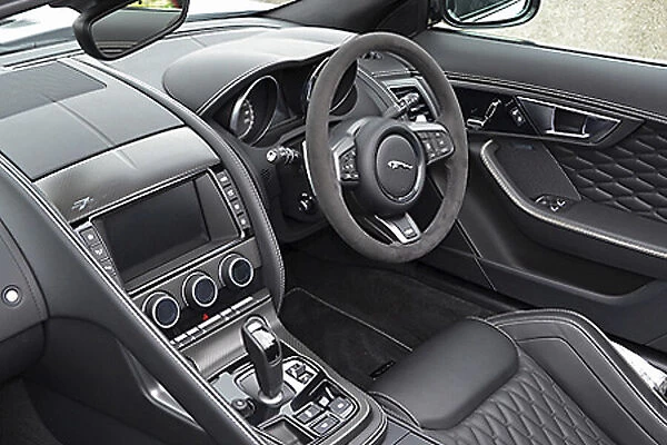 Jaguar Project 7 (ltd edition of 250) 2016 Grey & white