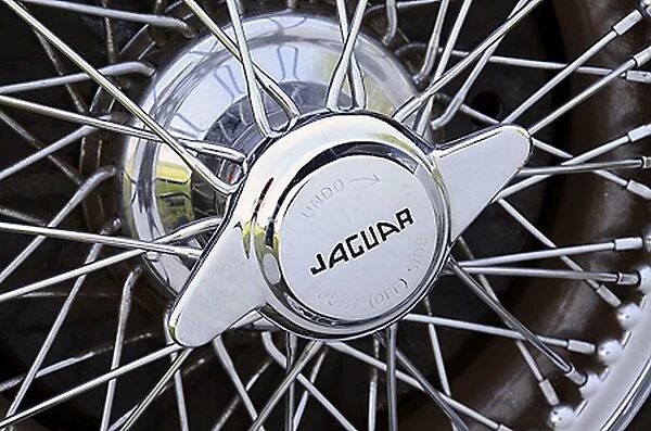 Jaguar XK120 Roadster, 1950, Silver