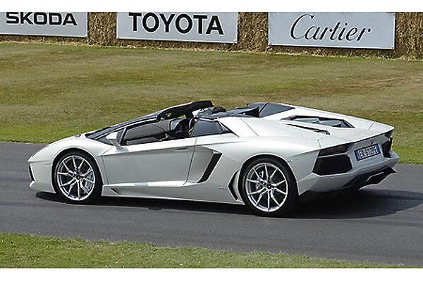 Lamborghini Aventador Roadster, 2013, White