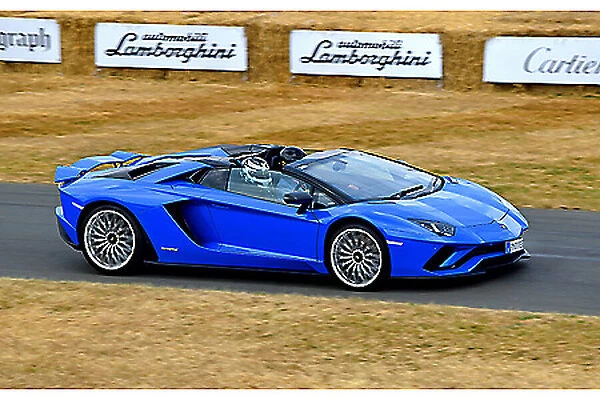 Lamborghini, LAM175267