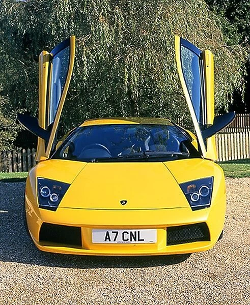 Lamborghini Murcielago, 2002, Yellow, pearlescent
