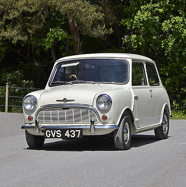 Mini 1960