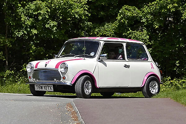 Mini 1981