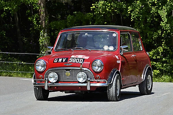 Mini Coopers 1966