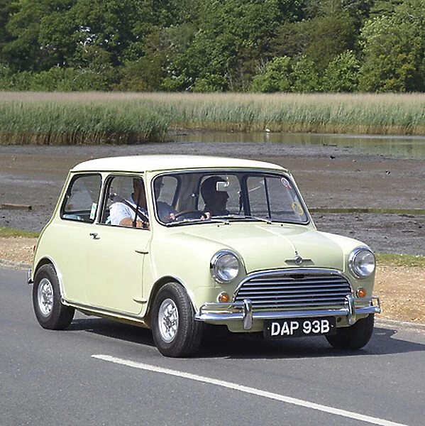 Mini Morris Coopers 1964 Yellow