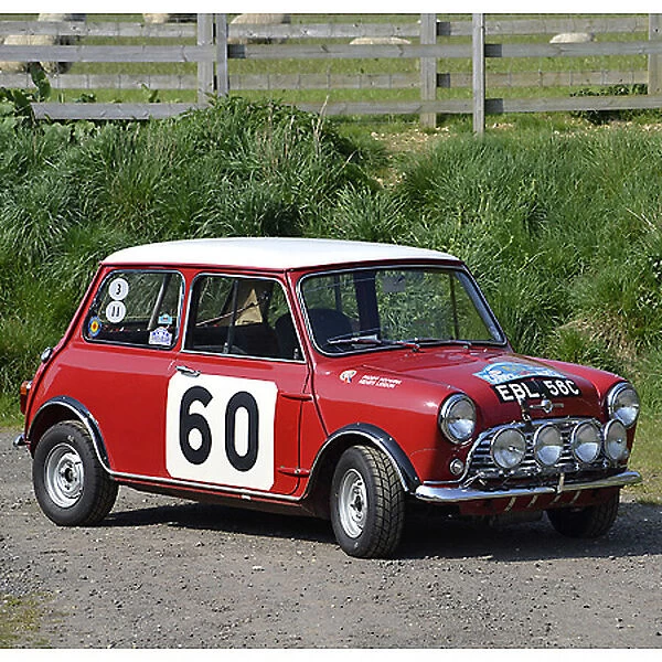Mini Morris Coopers (rally car, ex-Paddy Hopkirk) 1965 Red & white