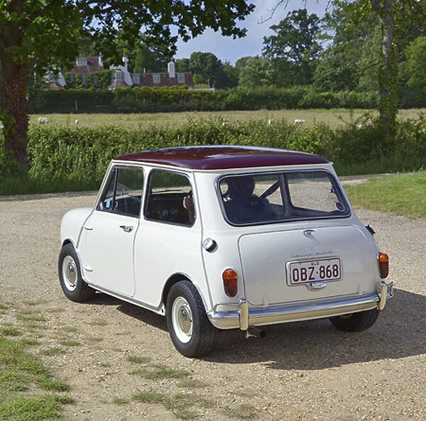Morris Mini Coopers 1968