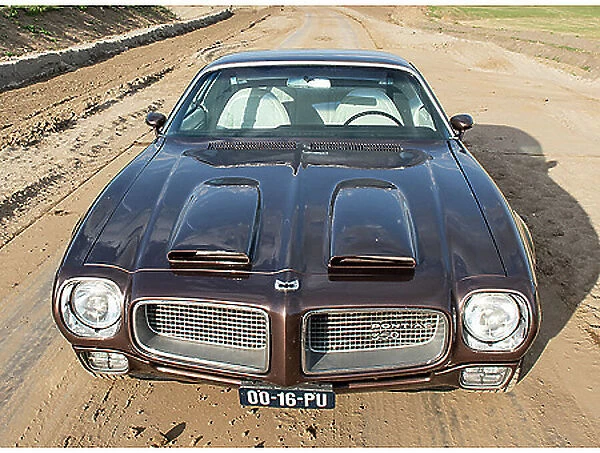 Pontiac Firebird 350 1971 Brown metallic