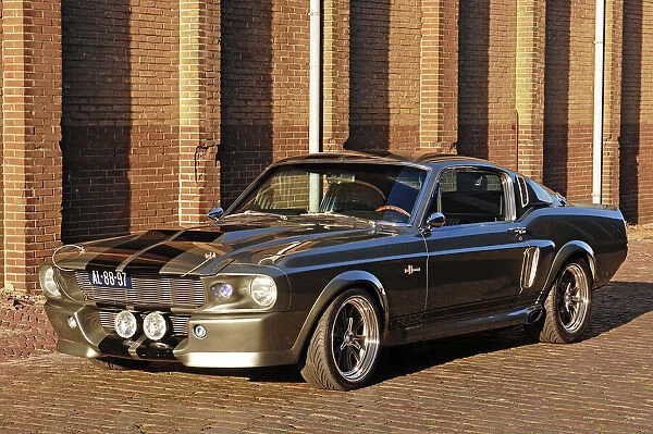 Shelby GT500 Mustang