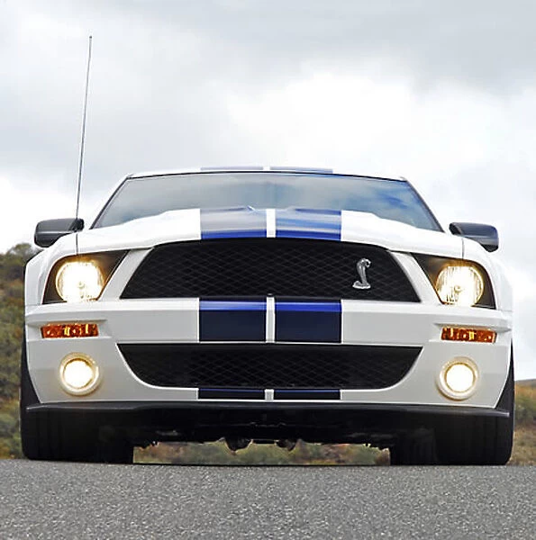 Shelby Mustang Cobra Coupe