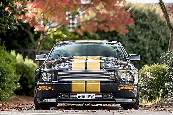 Shelby Mustang GT-H (Hertz hire car) 2016 Black & gold