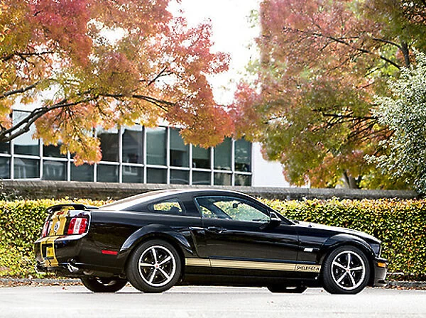 Shelby Mustang GT-H (Hertz hire car) 2016 Black & gold