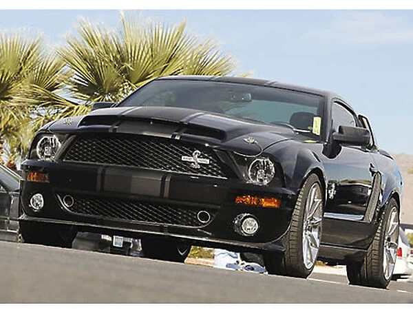 Shelby Mustang GT500 Super Snake 427 Edition