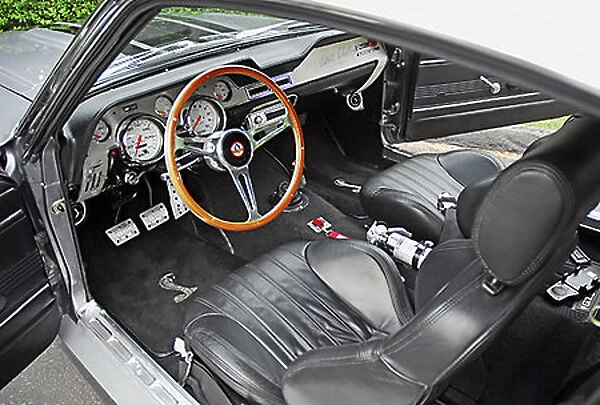 Shelby Mustang GT500E Eleanor