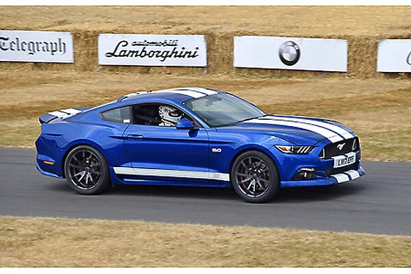 Shelby Mustang Super Snake (at G wood FOS 2018)
