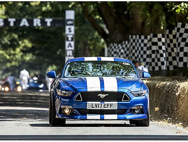 Shelby Mustang Super Snake (at G wood FOS 2018)