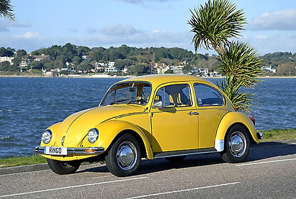 VW Volkswagen Classic Beetle (Special Edition), 1984, Yellow