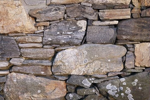Close-up of drystone wall at abandoned croft, Unst, Shetland Islands, Scotland, June