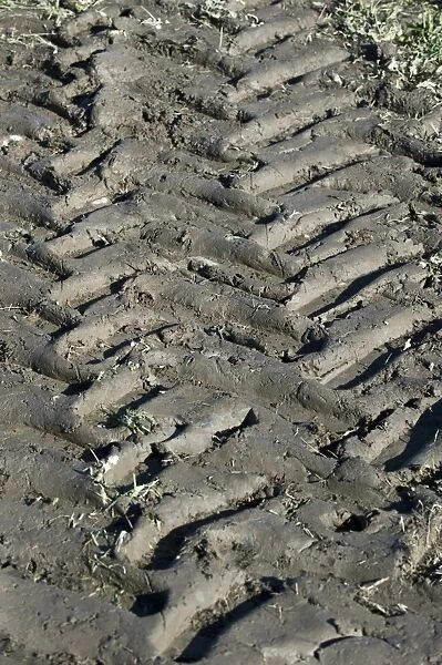 Tractor tyre tracks in muddy field, Sweden, september