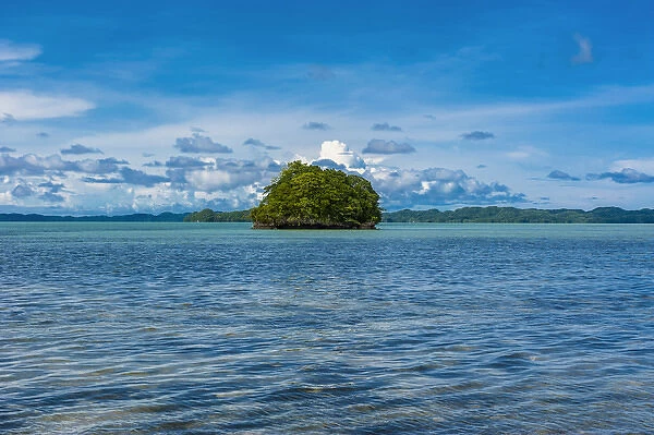Little rock islet in the famous Rock islands, Palau, Central Pacific