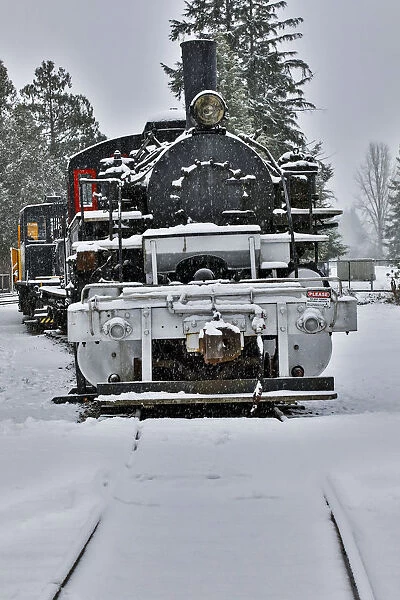Steam engine train on tracks in town of Snoqualmie, Washington State