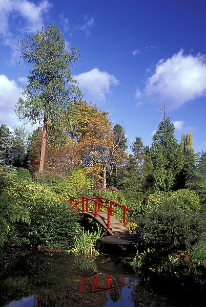 USA, Washington State, Seattle. Moonbridge and fall color in Kubota Garden
