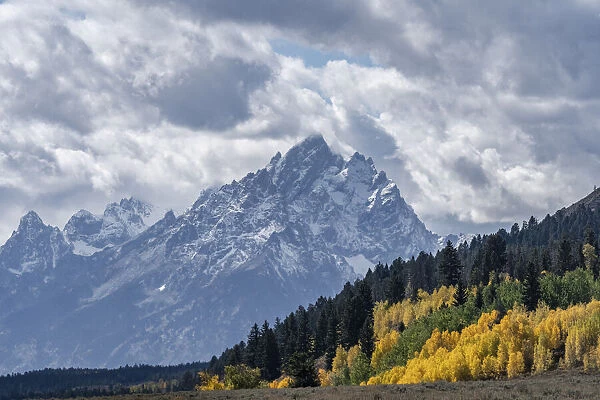 USA, Wyoming. Grand Teton with colorful autumn foliage, Grand Teton National Park