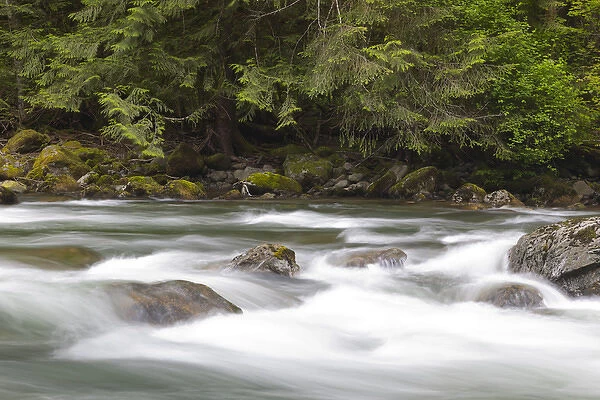 WA, Olallie State Park, Snoqualmie River, South Fork