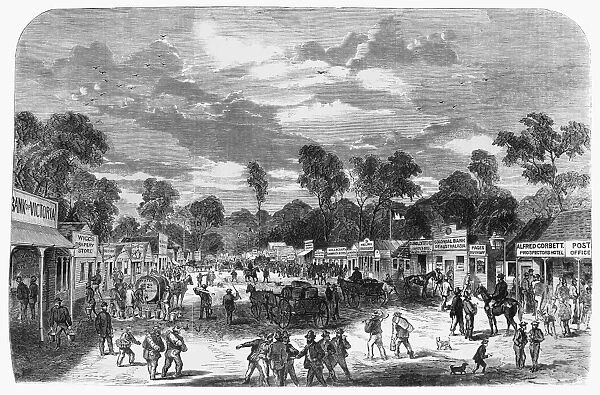 AUSTRALIA: GOLD RUSH, 1869. Main Street in the mining town of Spring Creek, Victoria, Australia, during the gold rush of the 1860s. Wood engraving from an Australian newspaper of 1869